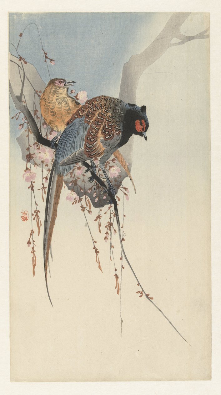 Pareja de faisán y flor de ciruelo de Ohara Koson