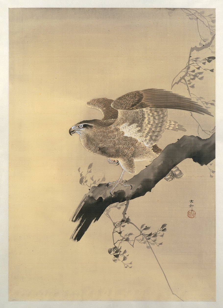 Halcón de Ohara Koson