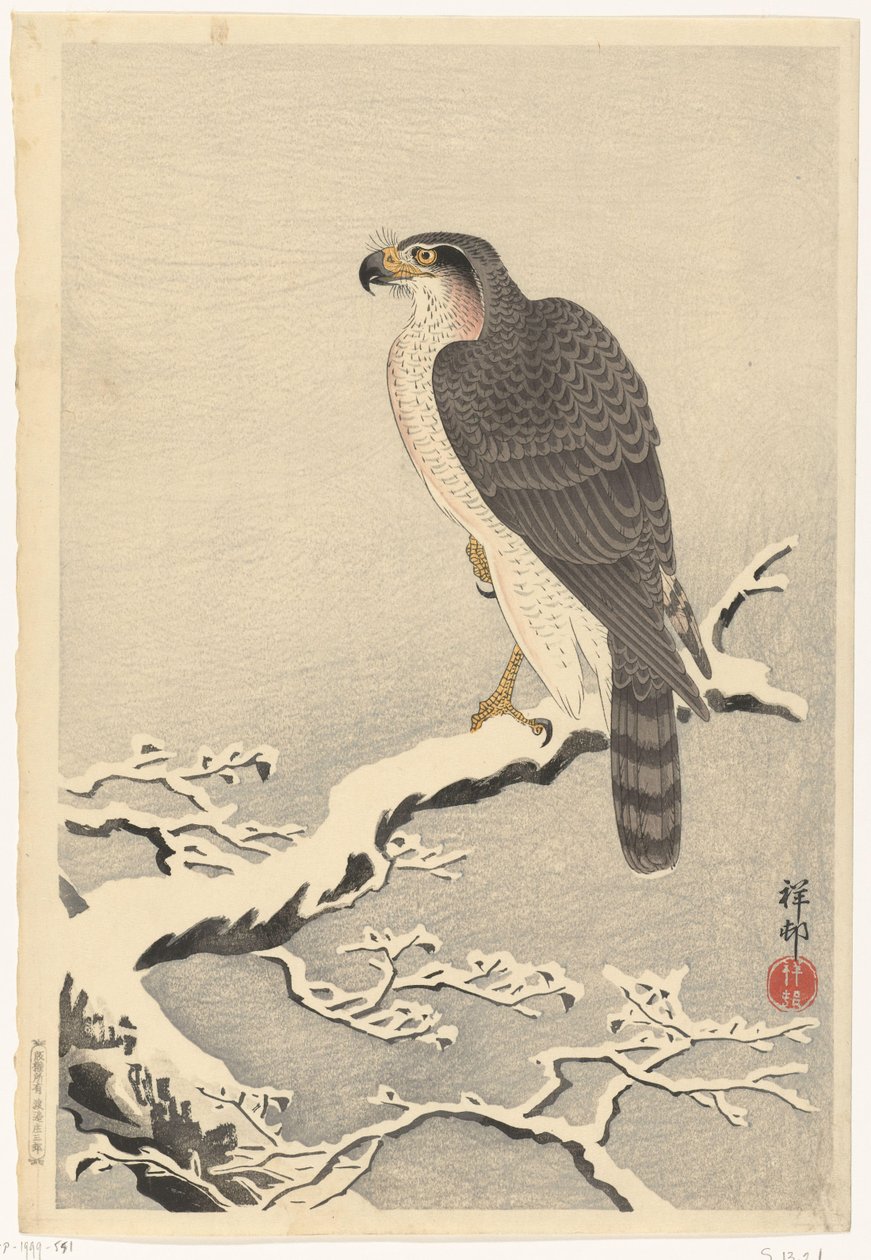 Halcón en rama nevada de pino de Ohara Koson
