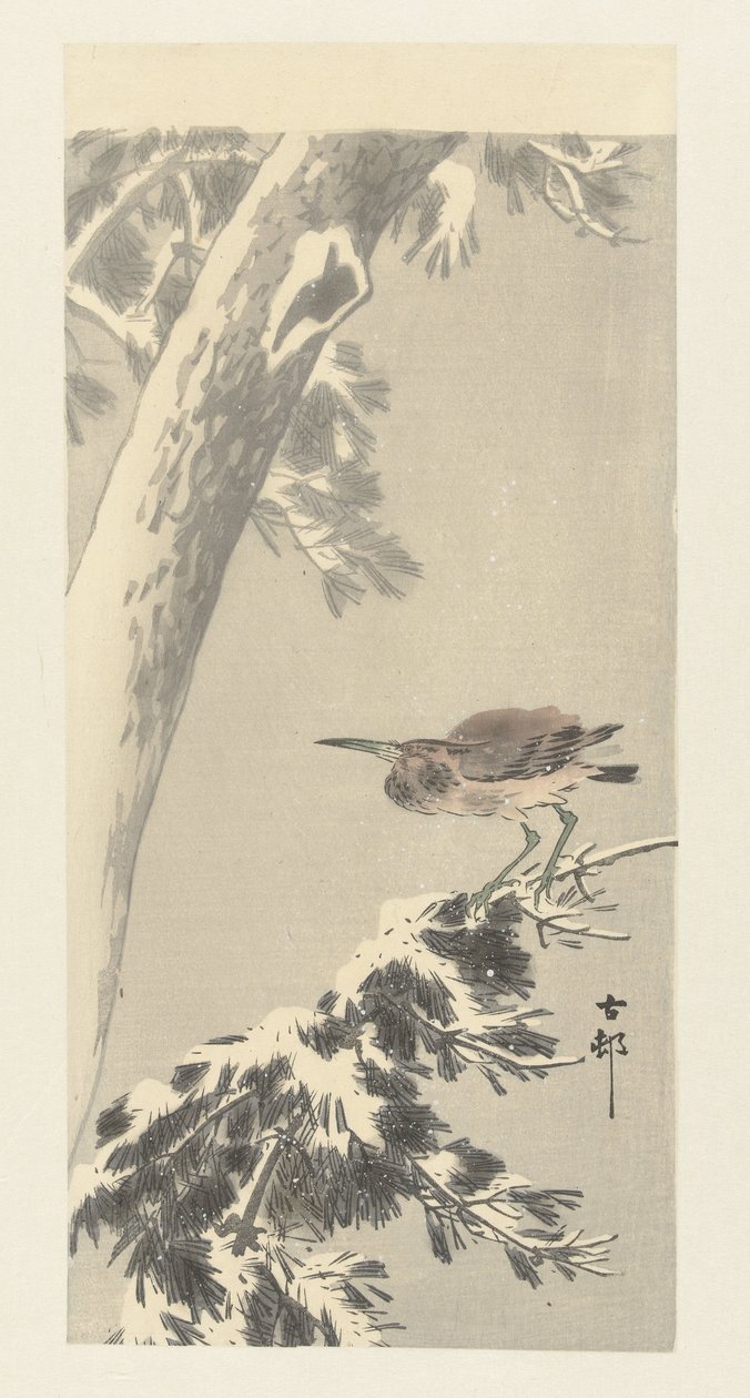 garza nocturna india en la rama de un árbol cubierto de nieve de Ohara Koson