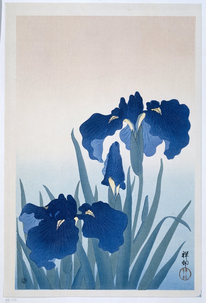 Iris, 1925-36 de Ohara Koson
