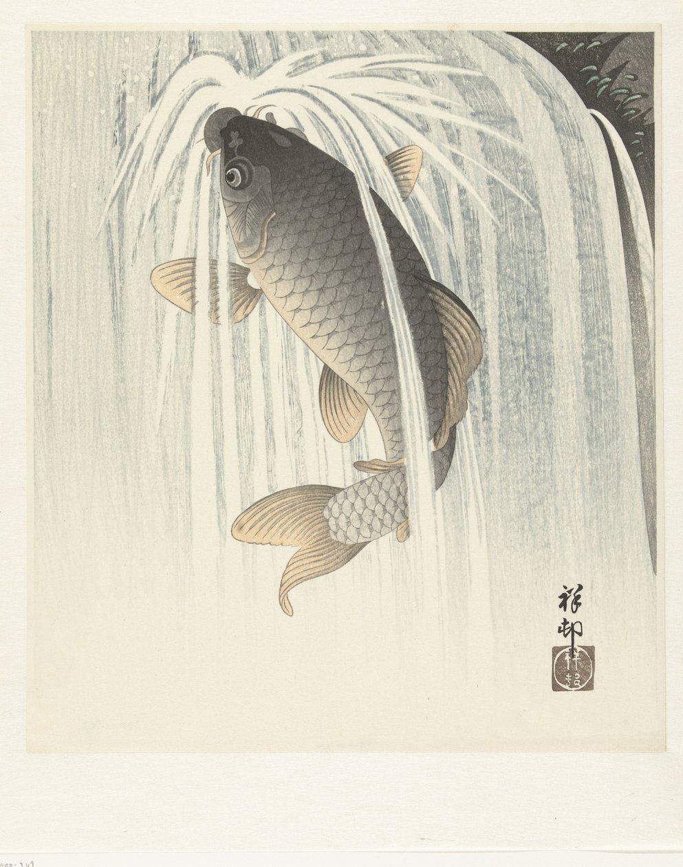 Carpa de Ohara Koson