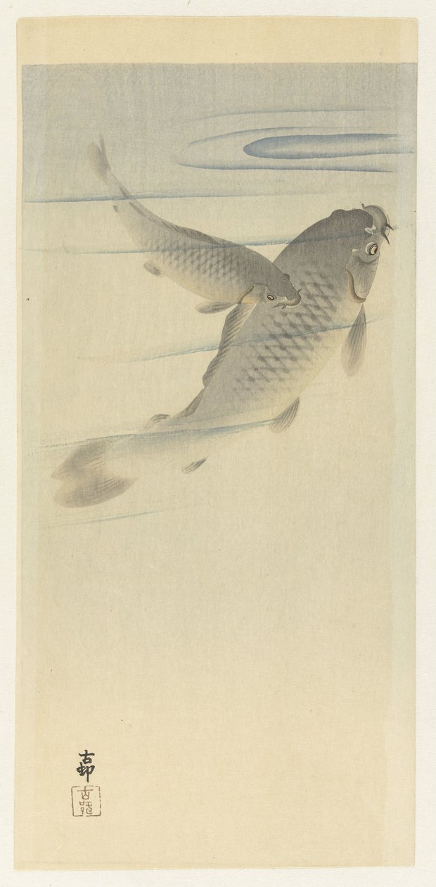 carpa de Ohara Koson