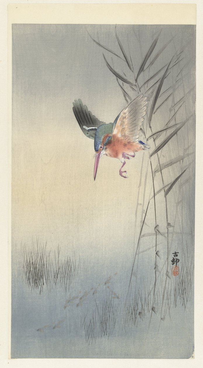 Martín pescador cazando peces (xilografía en color) de Ohara Koson