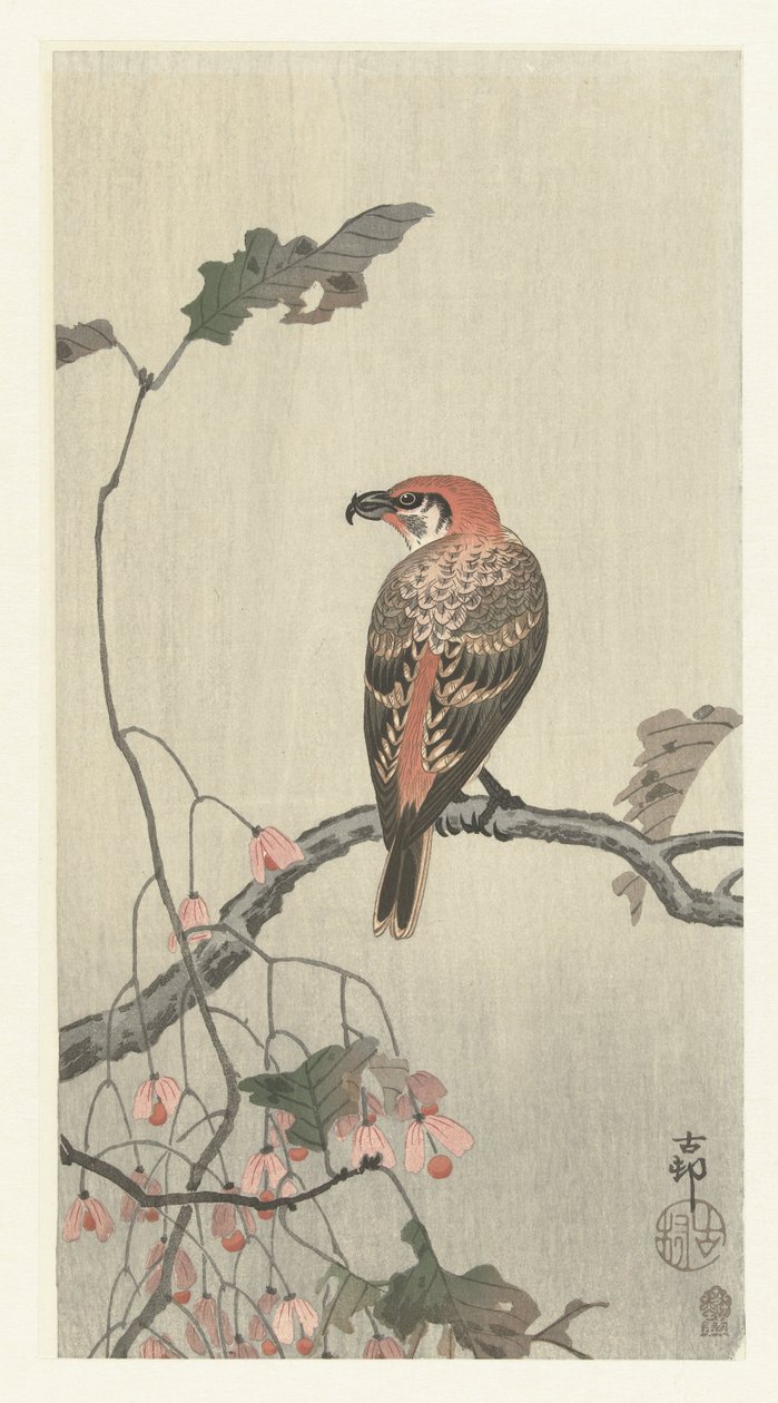Piquituerto en rama de árbol de Ohara Koson
