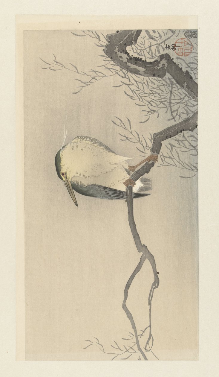 Kwak en una rama caprichosa. de Ohara Koson