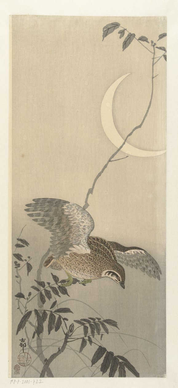 Codorniz en la luna de la hoz de Ohara Koson