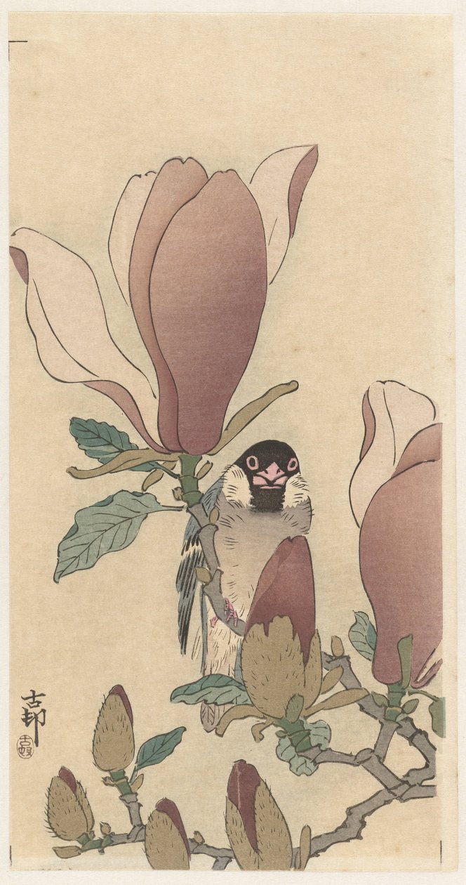 Gorrión en una rama de magnolia en flor de Ohara Koson