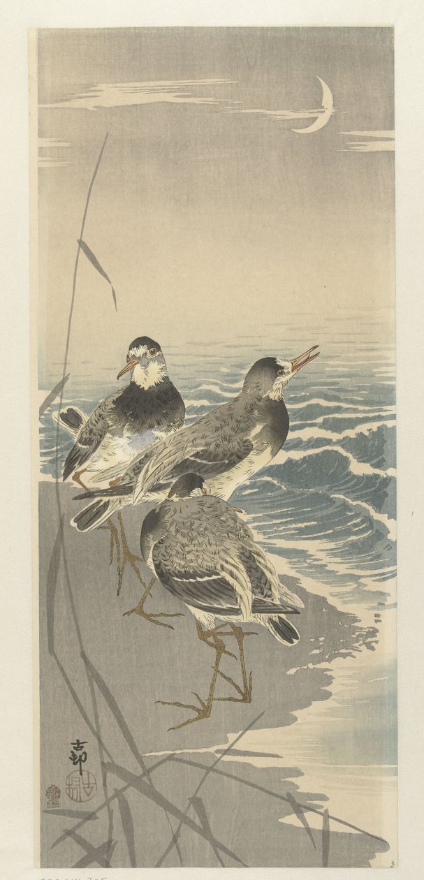 Playeritos en la luna de la hoz de Ohara Koson