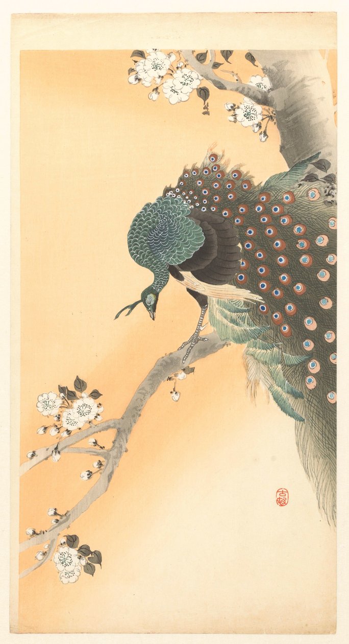 pavo real en cerezo de Ohara Koson