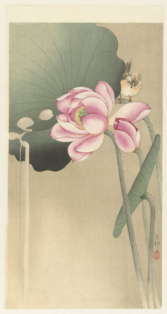 Pájaro cantor y Lotus de Ohara Koson