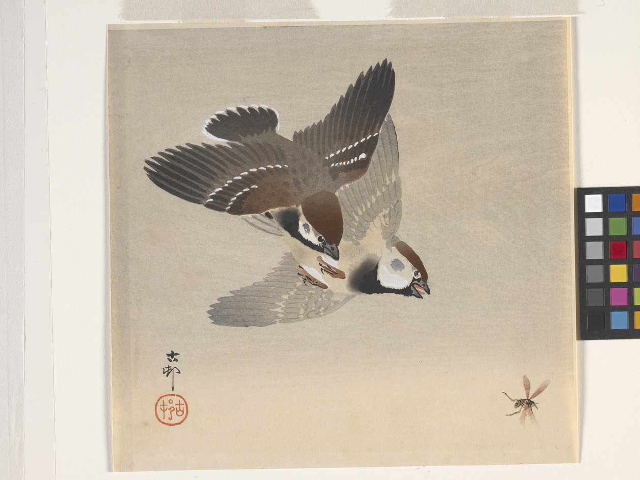 Gorriones persiguiendo insectos voladores (xilografía en color) de Ohara Koson