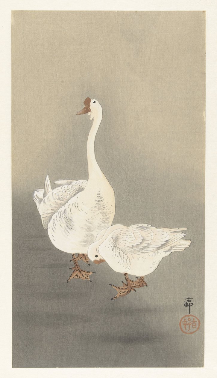 dos enteros de Ohara Koson