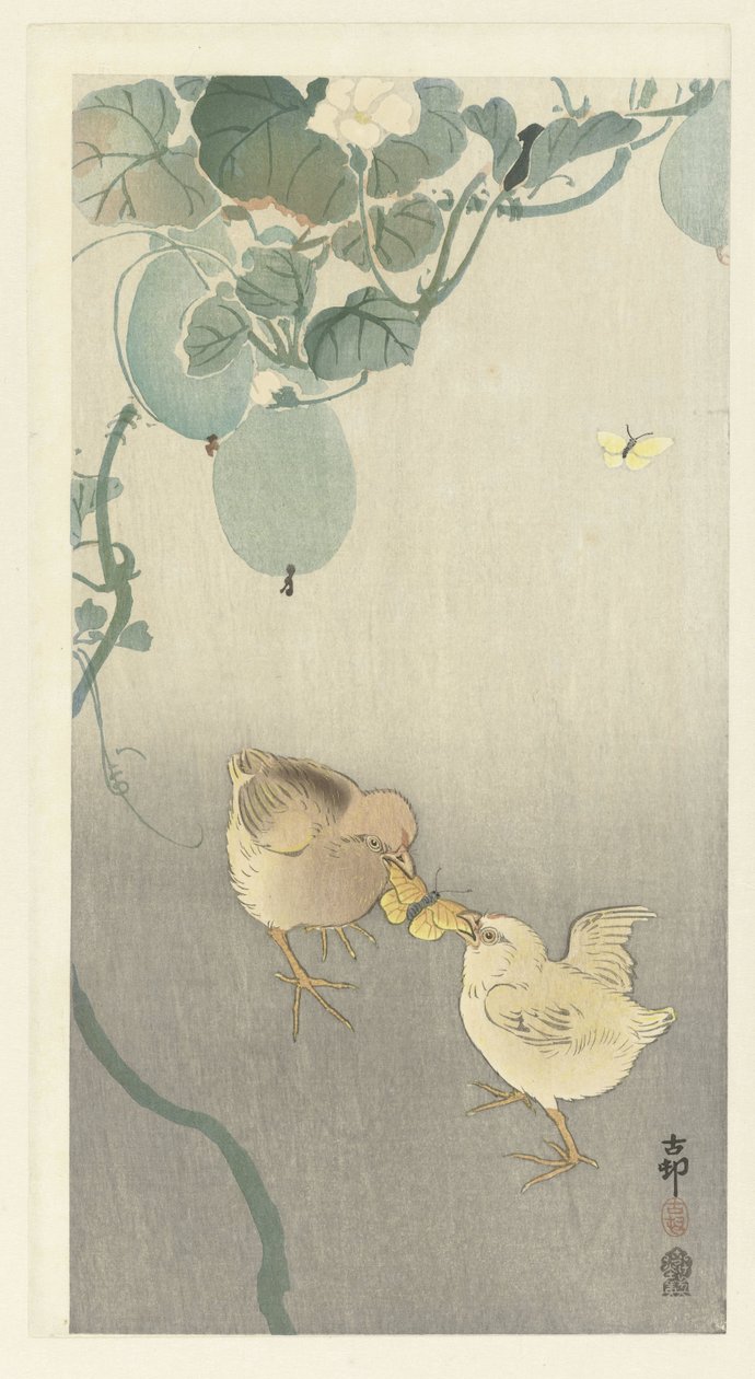 Dos pollitos peleándose por una mariposa de Ohara Koson