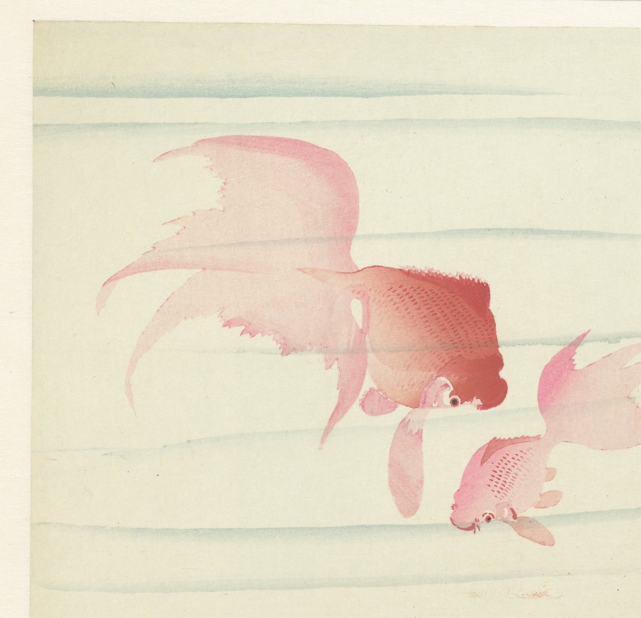 Dos colas de velo de Ohara Koson