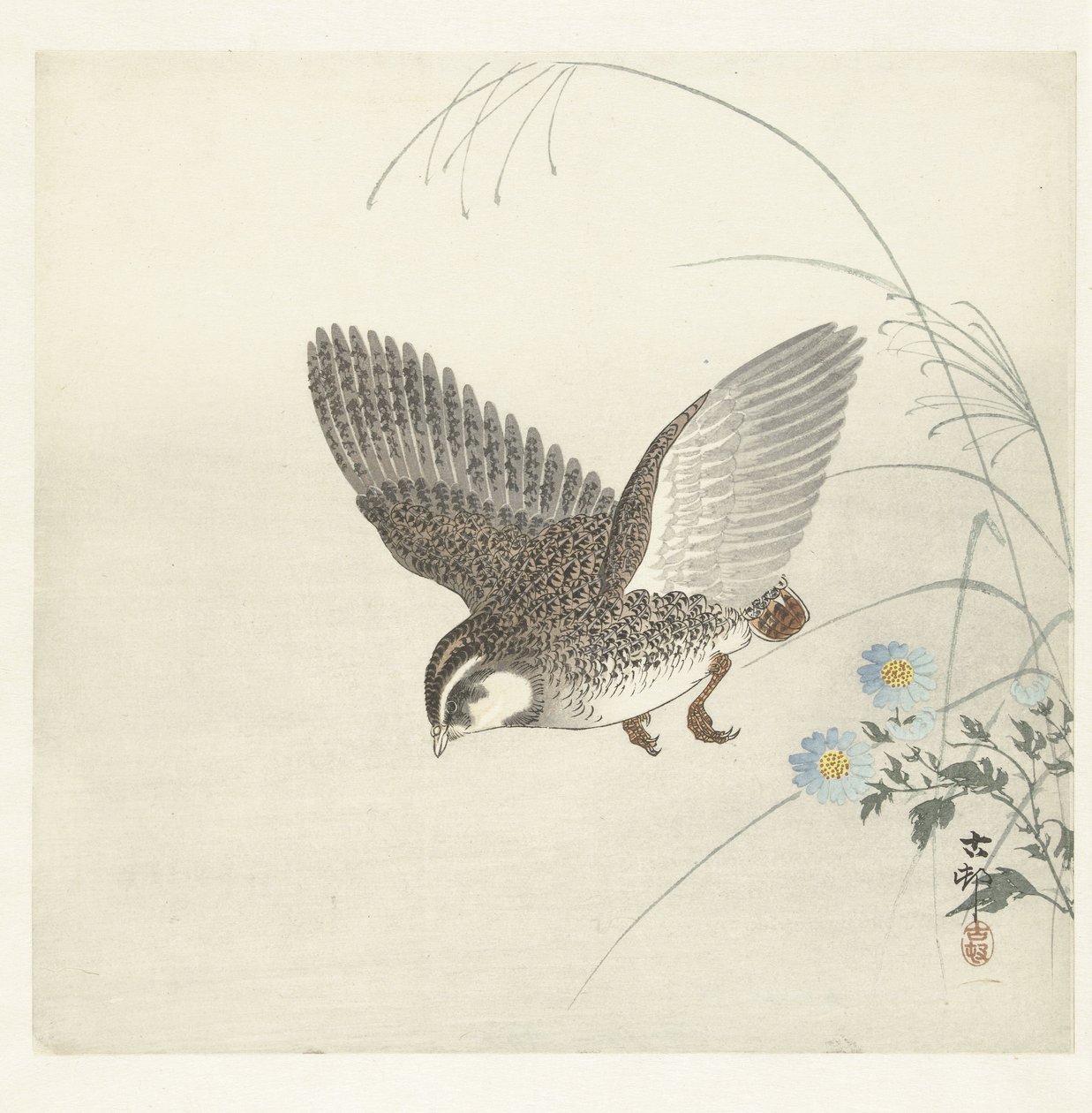 codornices voladoras de Ohara Koson