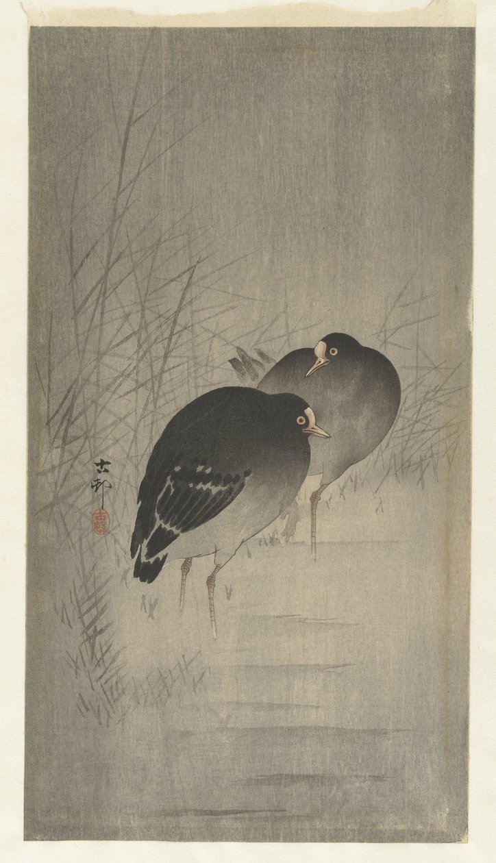 Pollas de agua entre cañas de Ohara Koson