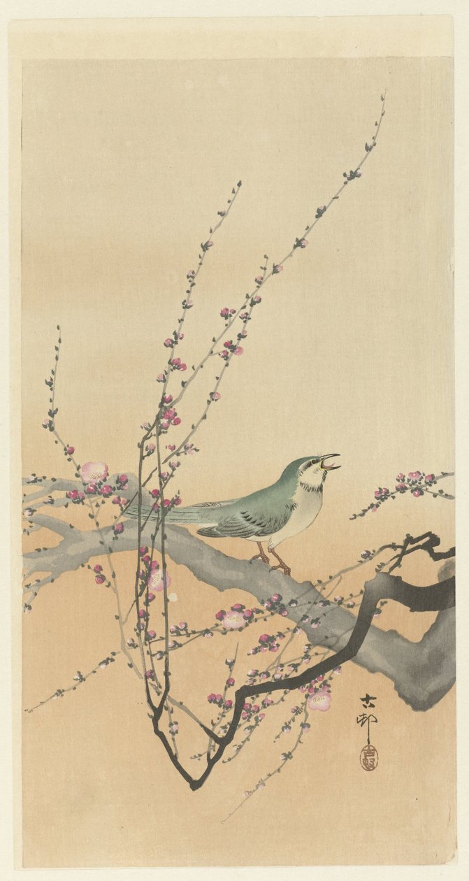 Pájaro cantor y flor de ciruelo. de Ohara Koson