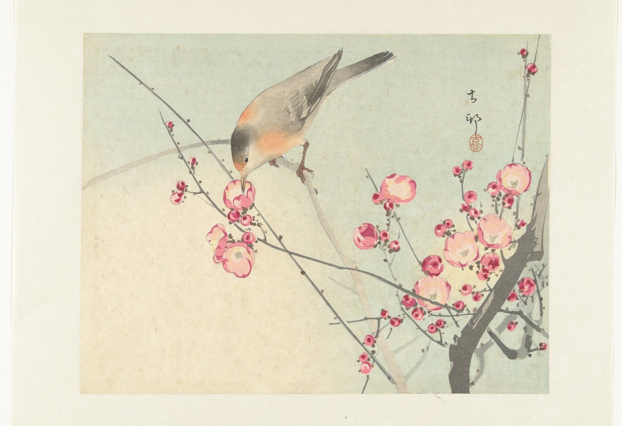 Pájaro cantor en rama de flor de Ohara Koson