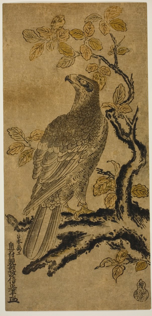 Un halcón en un árbol de kiri de Okumura Masanobu