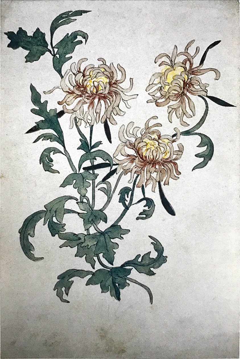 Flores de Olga Rozanova