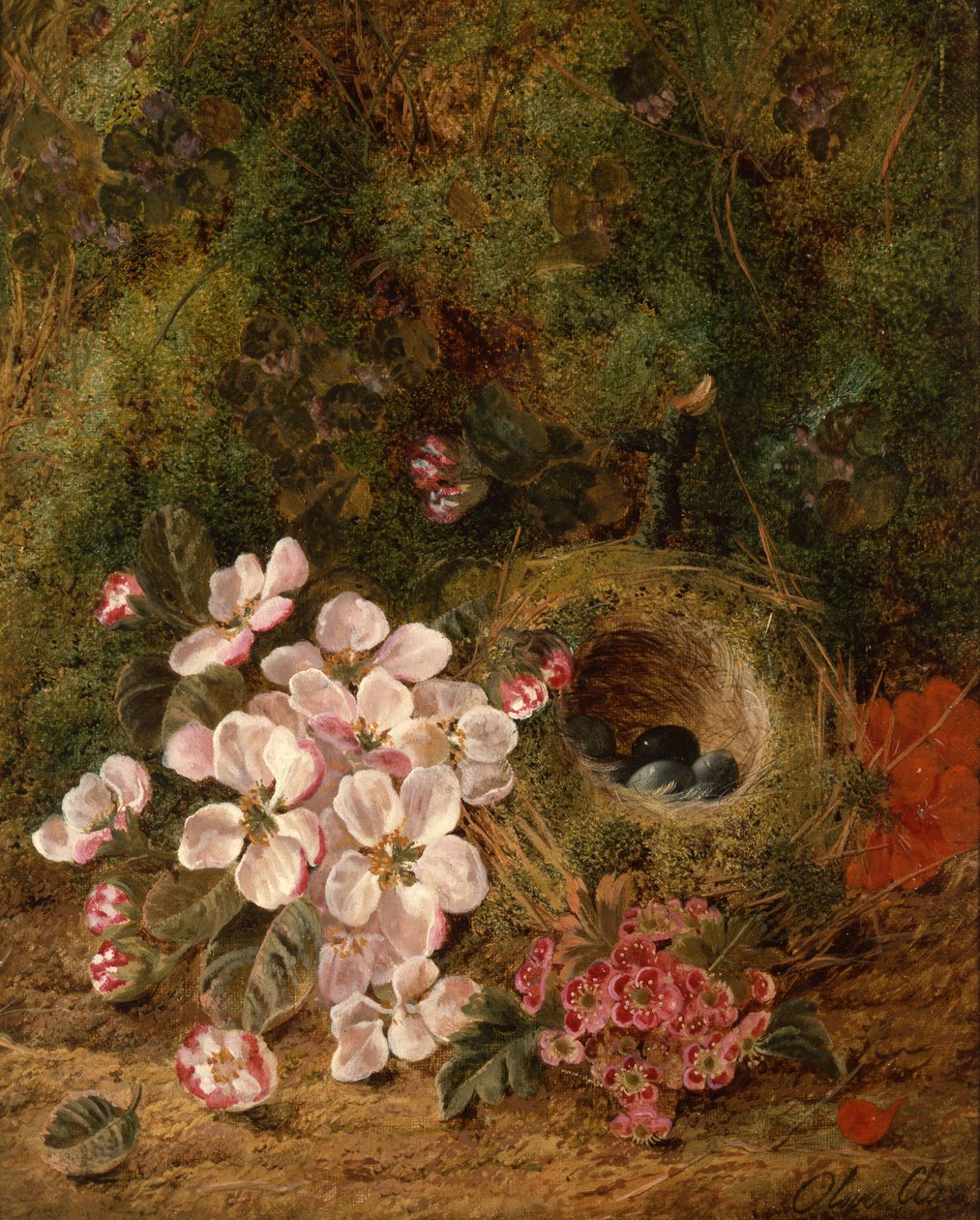 Nido de pájaros de Oliver Clare