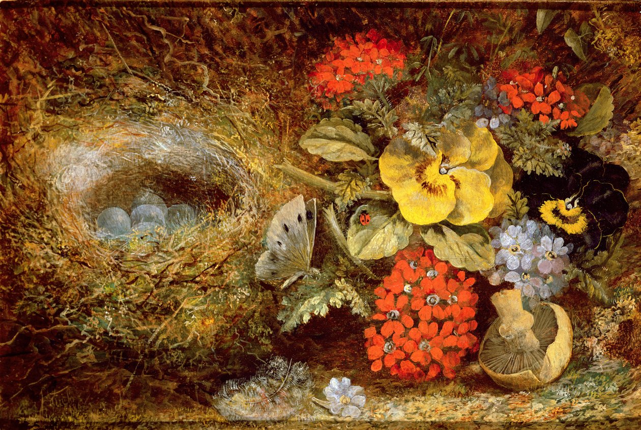 Flores y nido de pájaro con mariposa y hongo de Oliver Clare