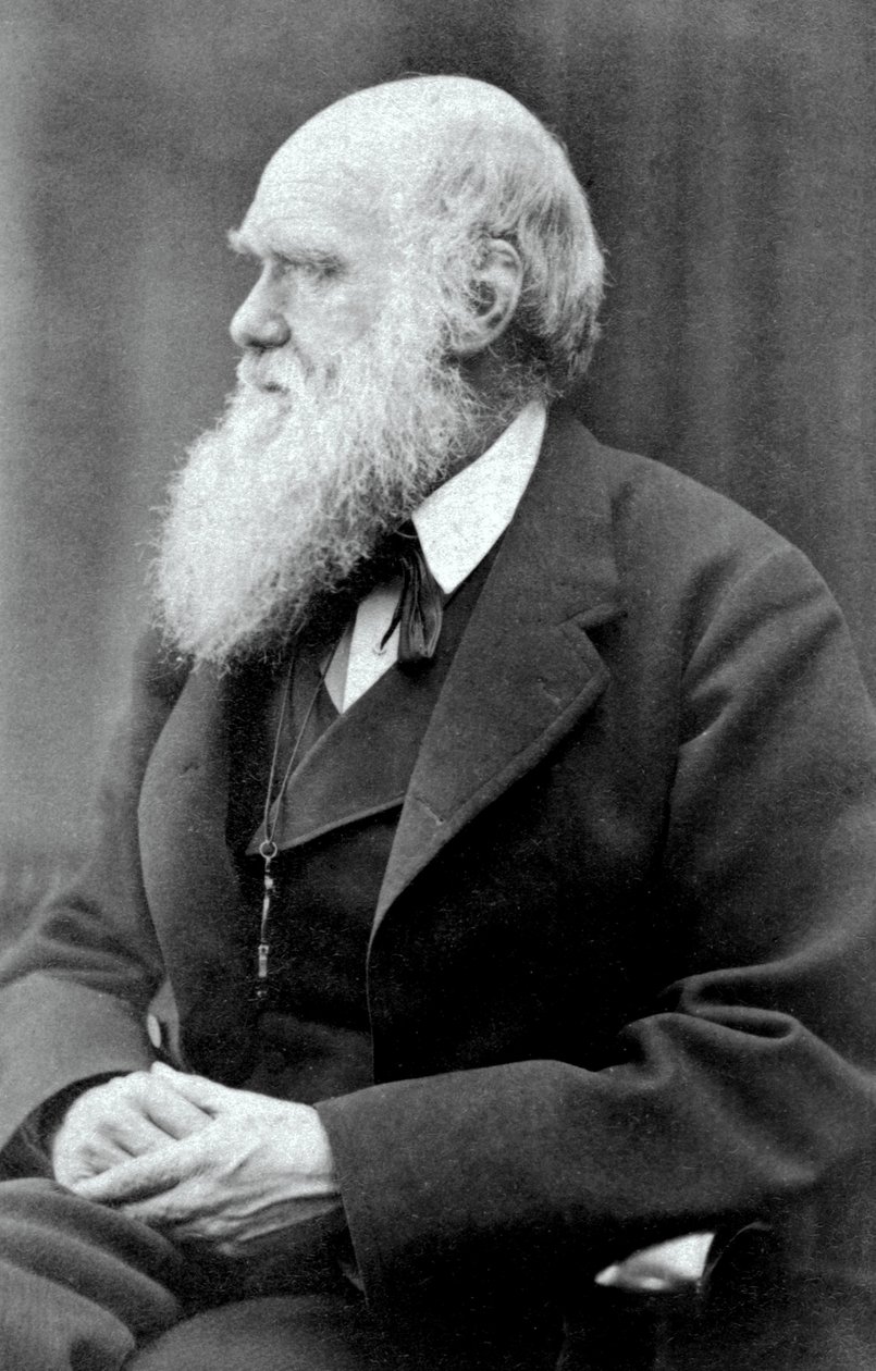 Charles Darwin, 1875 de Oscar Gustav Rejlander