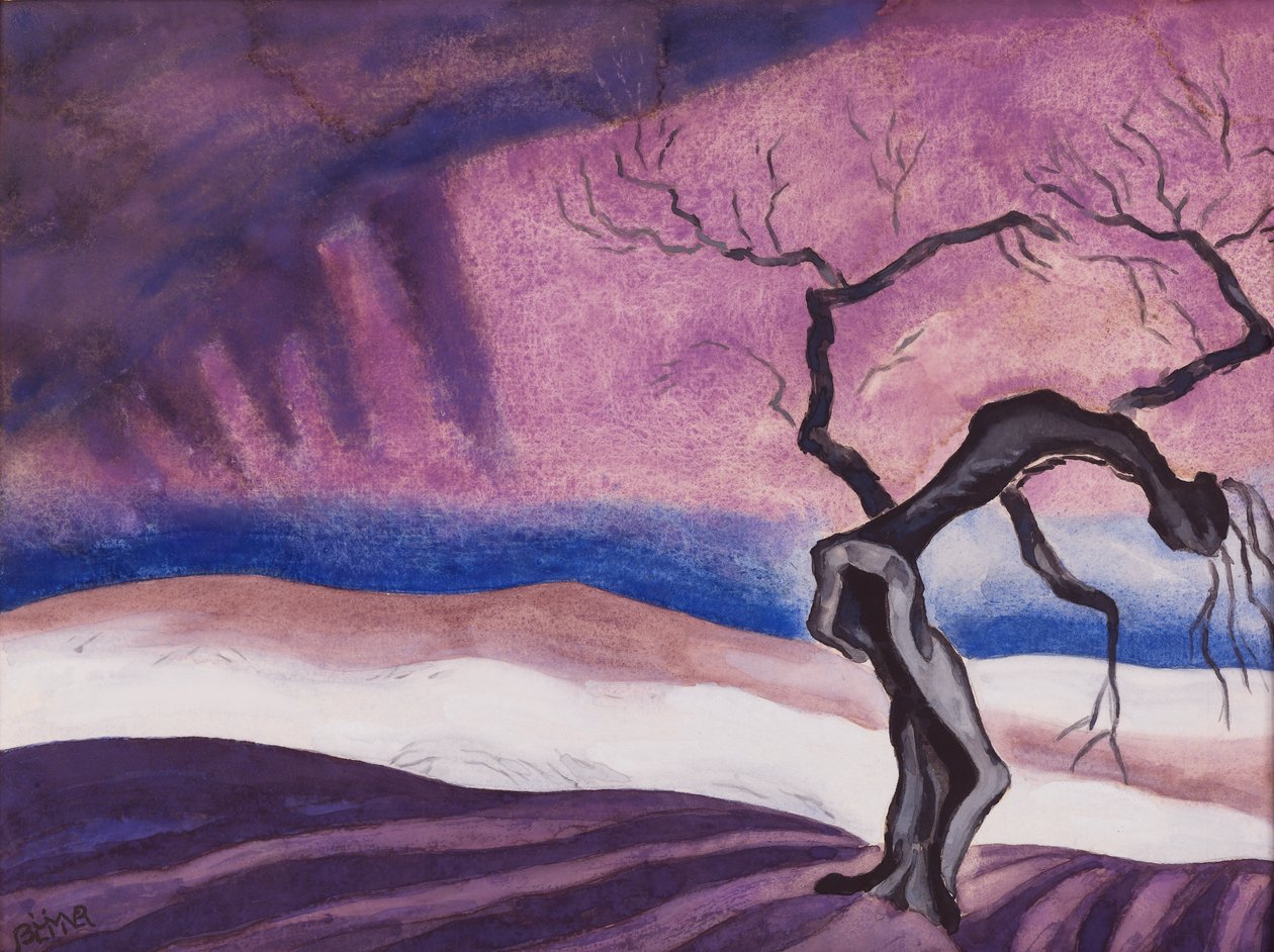 Muerte de Oscar Bluemner