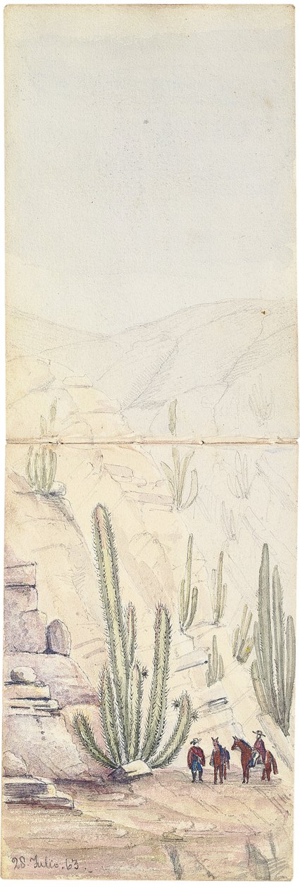 Cactus en Profunda "Quebrada", 1863 de Oswald Younghusband
