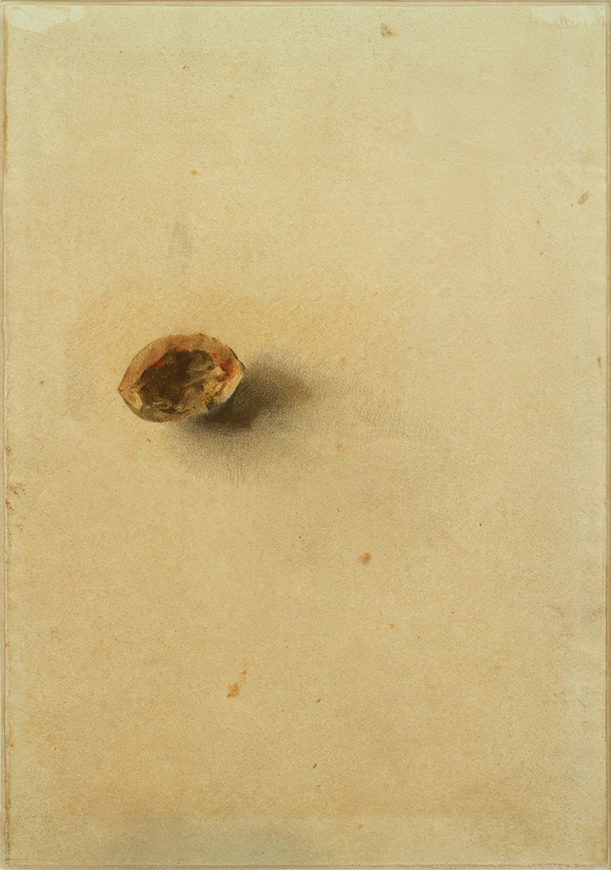 Cáscara de nuez de Otto Meyer Amden