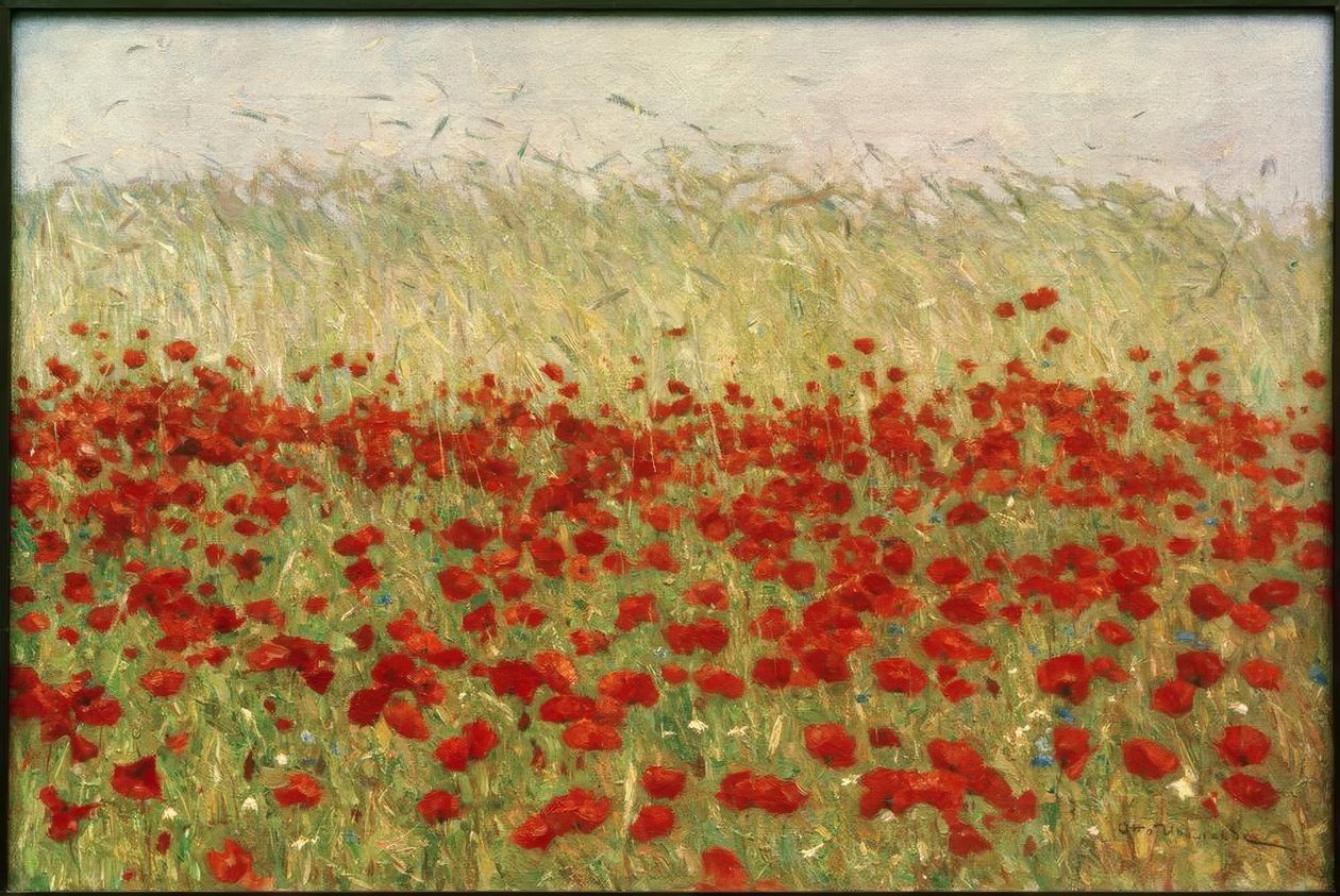 Amapolas y trigo de Otto Ubbelohde