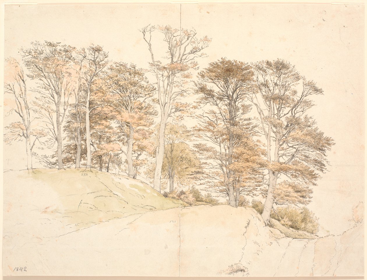 Altos árboles con hojas de otoño en terreno elevado de P.C. Skovgaard
