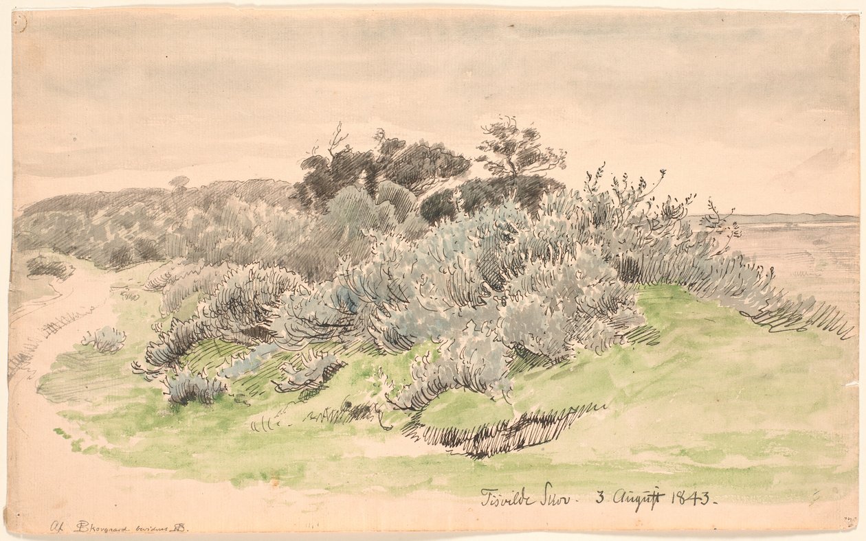 Paisaje con matorrales de P.C. Skovgaard