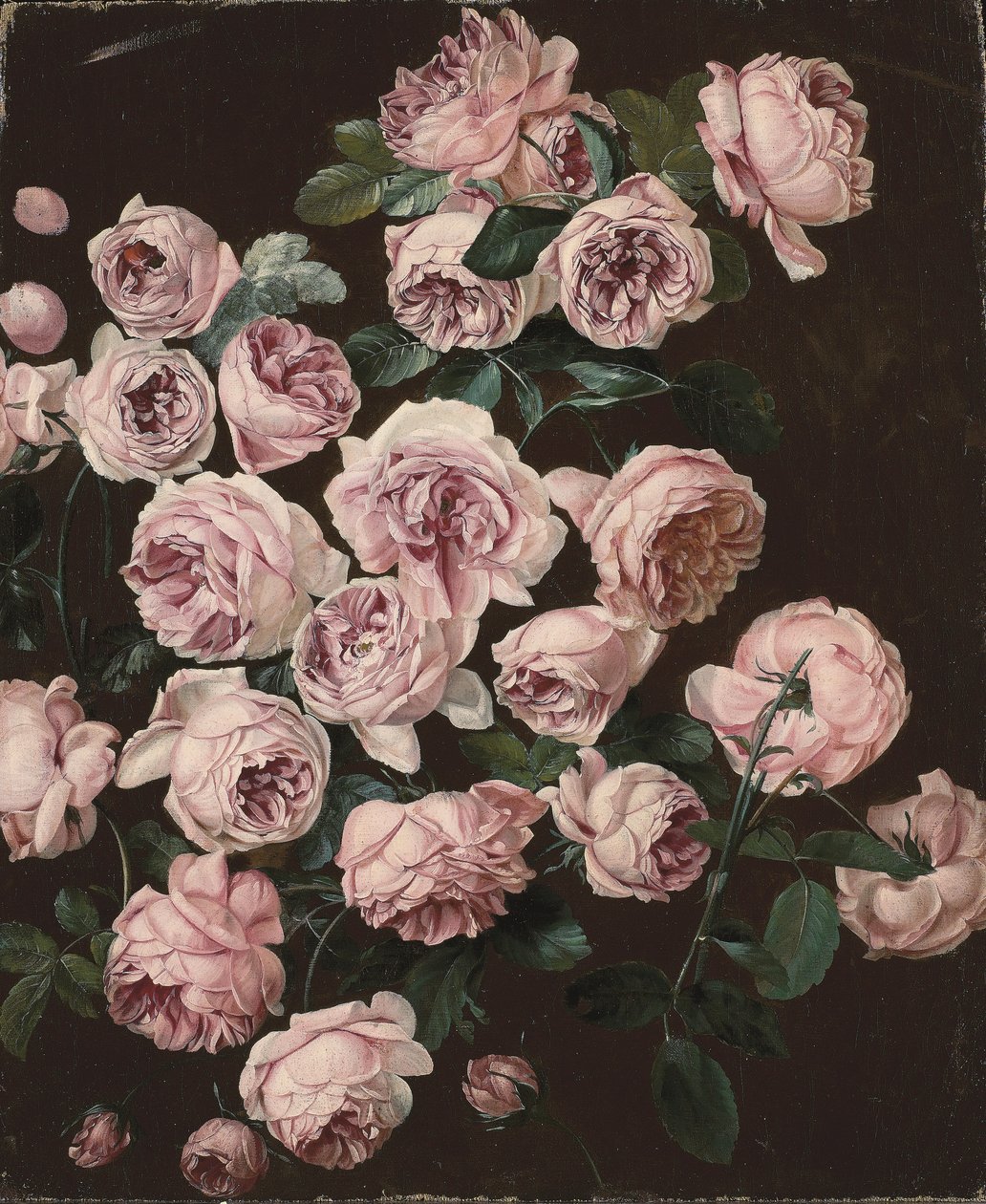 Un rosal (óleo sobre lienzo) de Pancrace Bessa