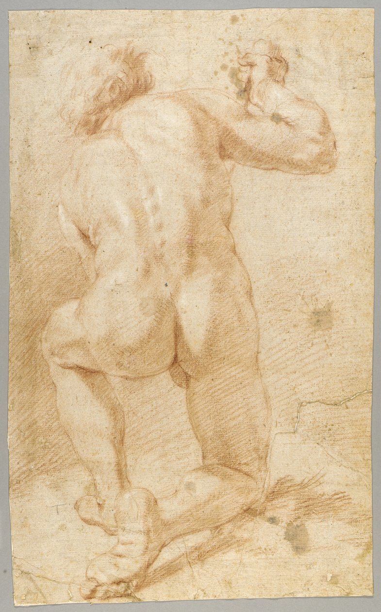 Dibujo de Paolo de Matteis