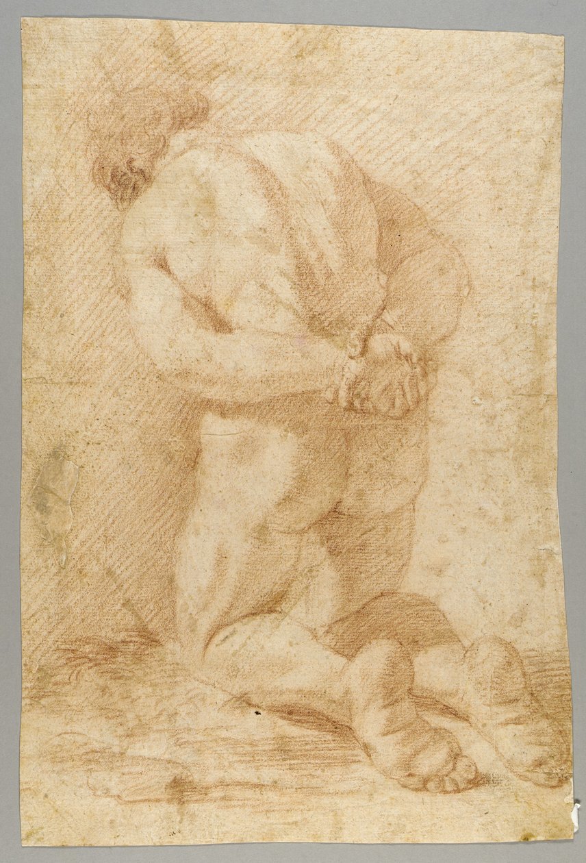 Dibujo de Paolo de Matteis
