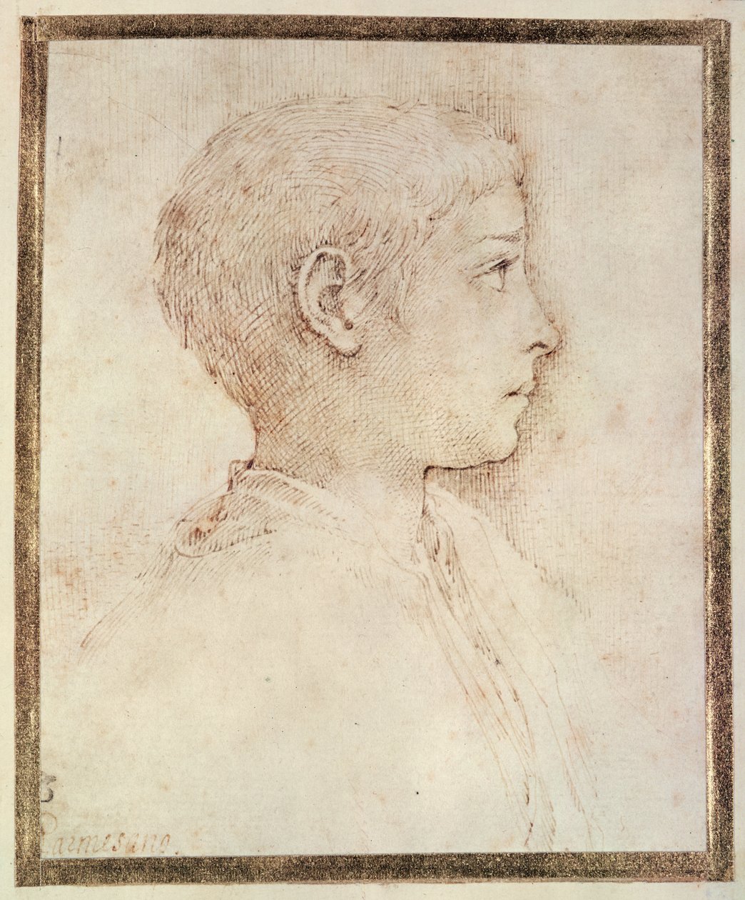 Cabeza de un niño de Parmigianino