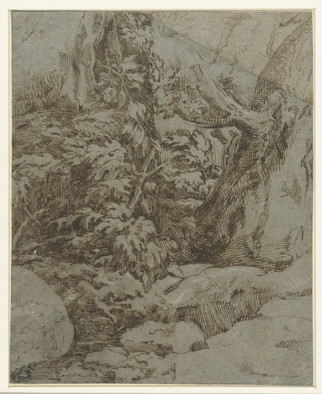 Estudio de un paisaje de Parmigianino