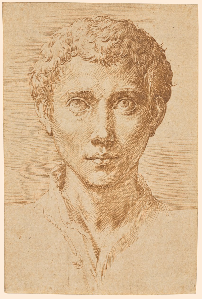 La cabeza de un joven de Parmigianino