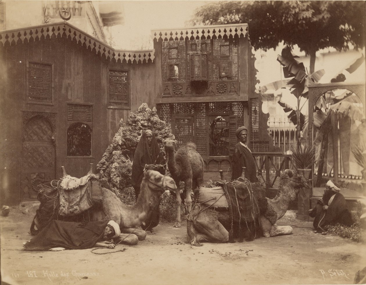 Sala de los Camellos de Pascal Sébah