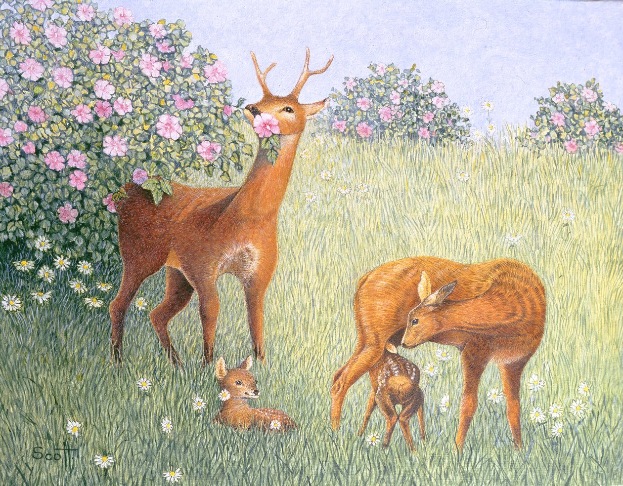 Familia de ciervos (óleo sobre lienzo) de Pat Scott