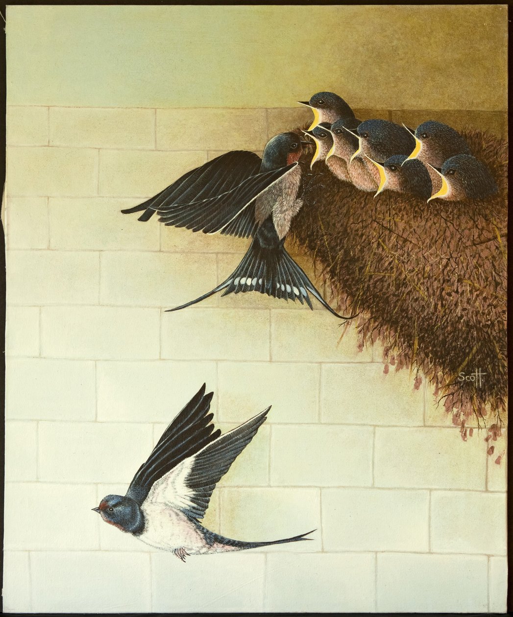 Bocas hambrientas, 2011 (acrílico sobre percal) de Pat Scott