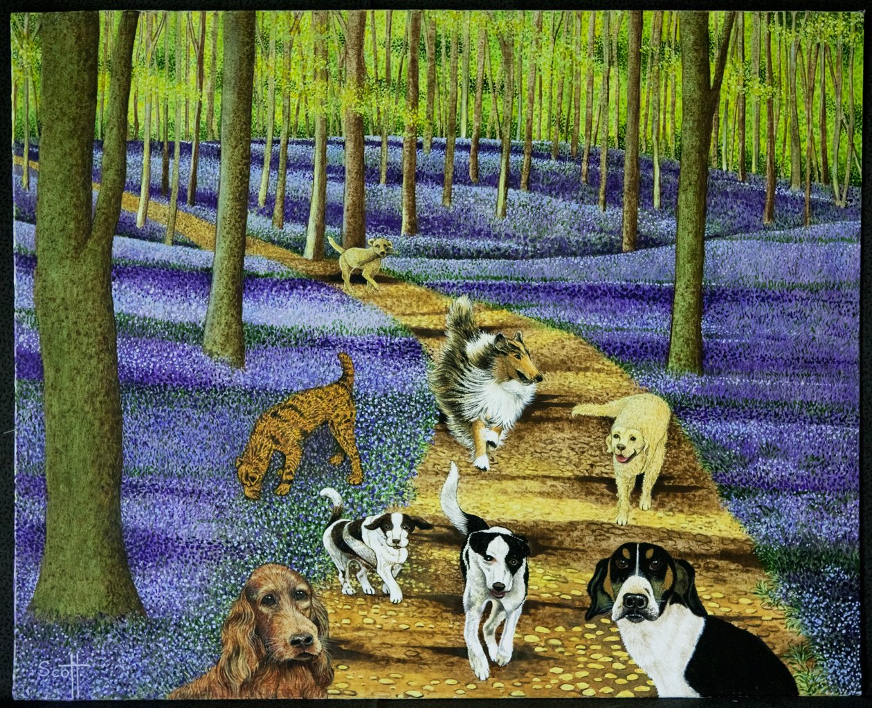 El paseo matinal de Pat Scott