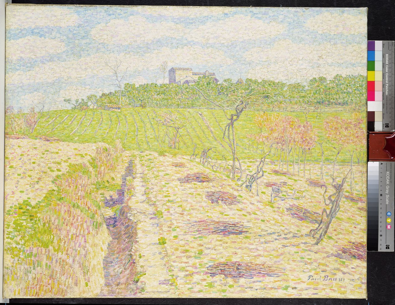 Un viñedo toscano de Paul Baum