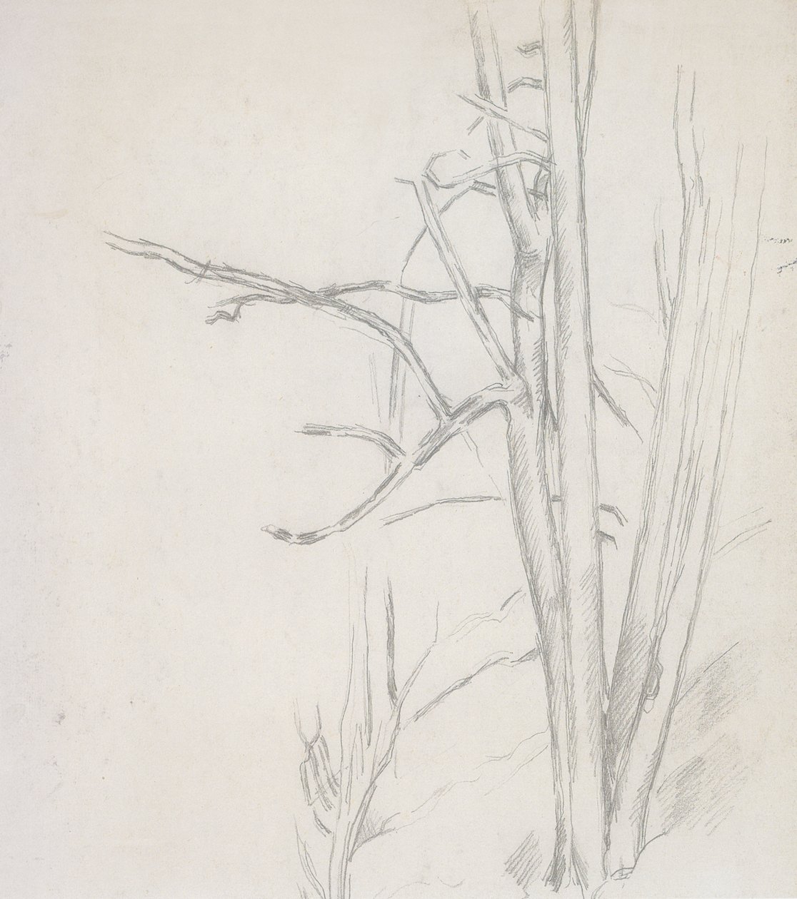 Estudio de árbol de Paul Cézanne