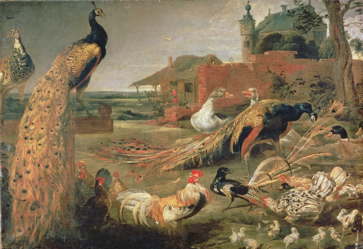Un cuervo con plumas de pavo real de Paul De Vos