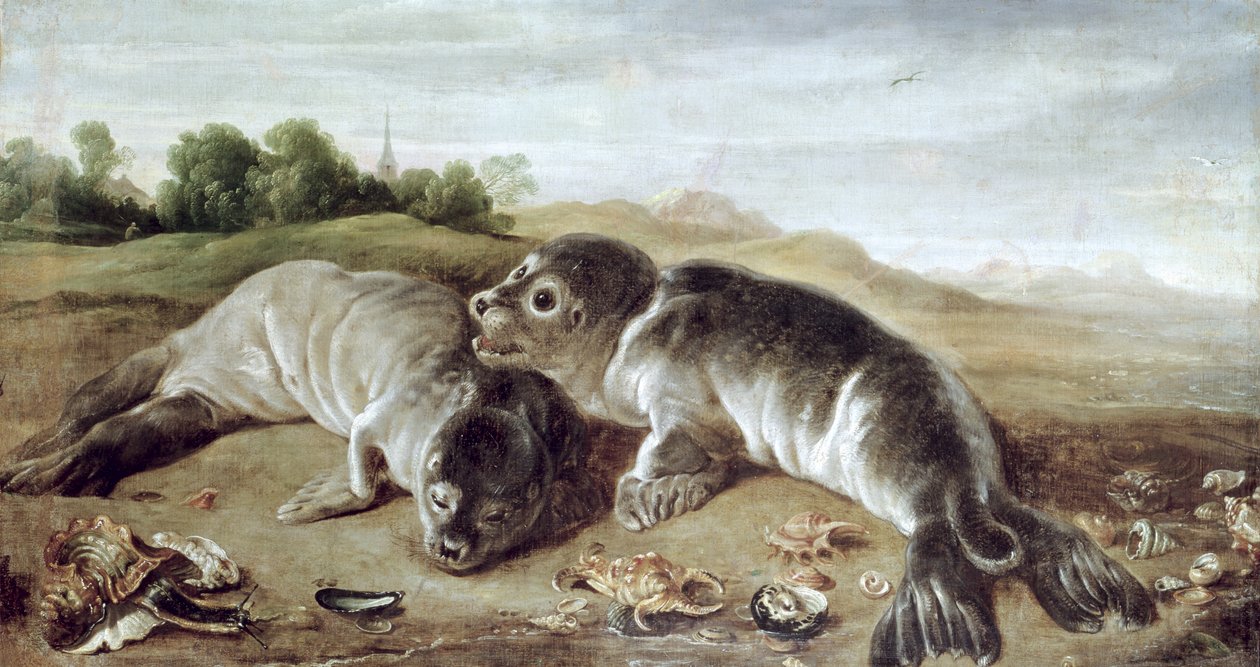 Dos focas jóvenes en la orilla, c.1650 de Paul De Vos