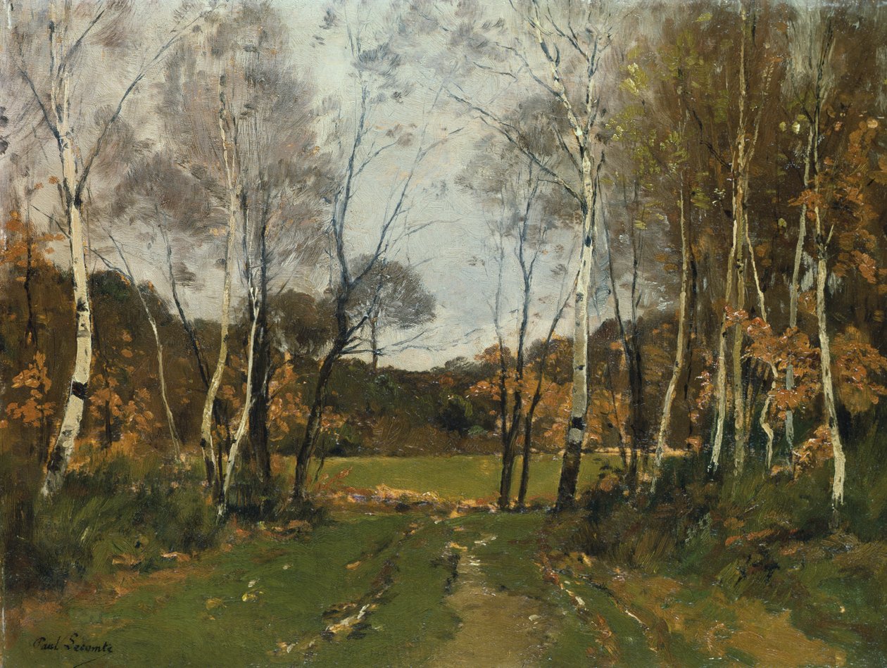 Paisaje boscoso de Paul Lecomte