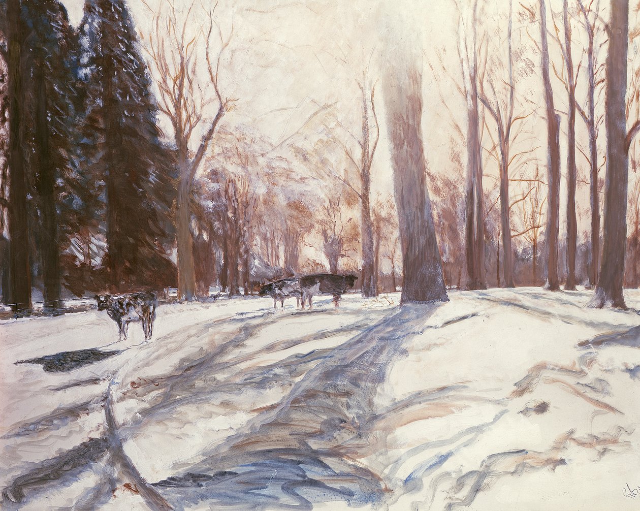 Nieve en Broadlands de Paul Stewart